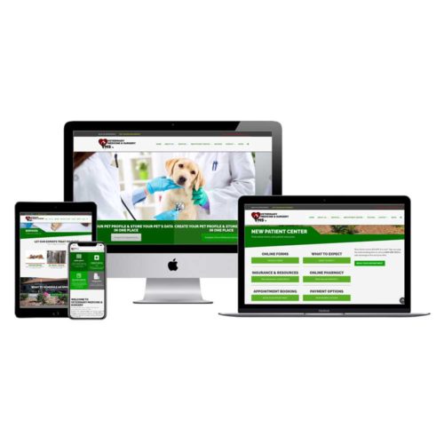 Veterinary Medicine and Surgery website on responsive layout design for all devices